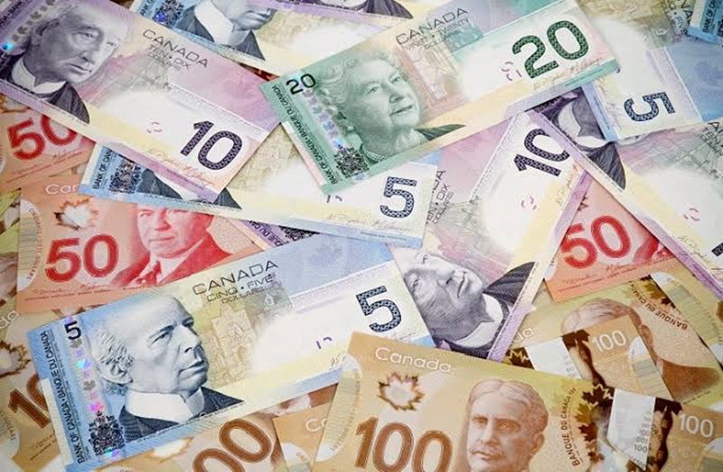 45 Kanada Doları Ne Kadar