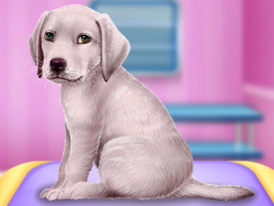 Köpek Doktoru Oyunu Oyna